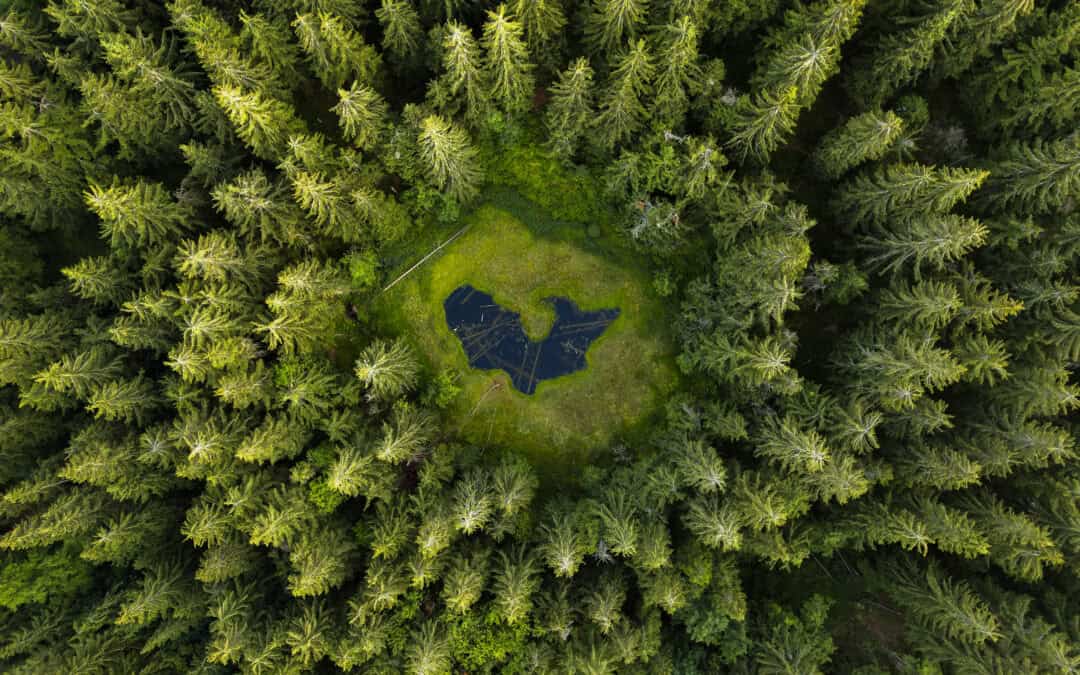 Was die Feuerwehrwelt bewegt