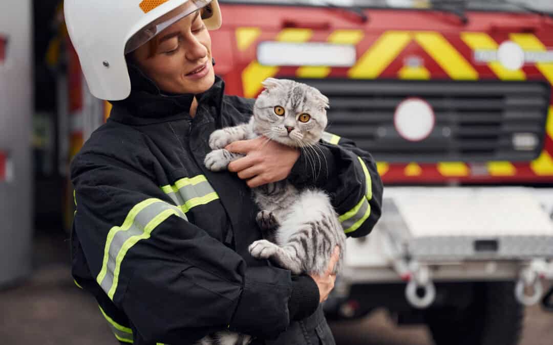 Tierrettungseinsätze der Feuerwehr