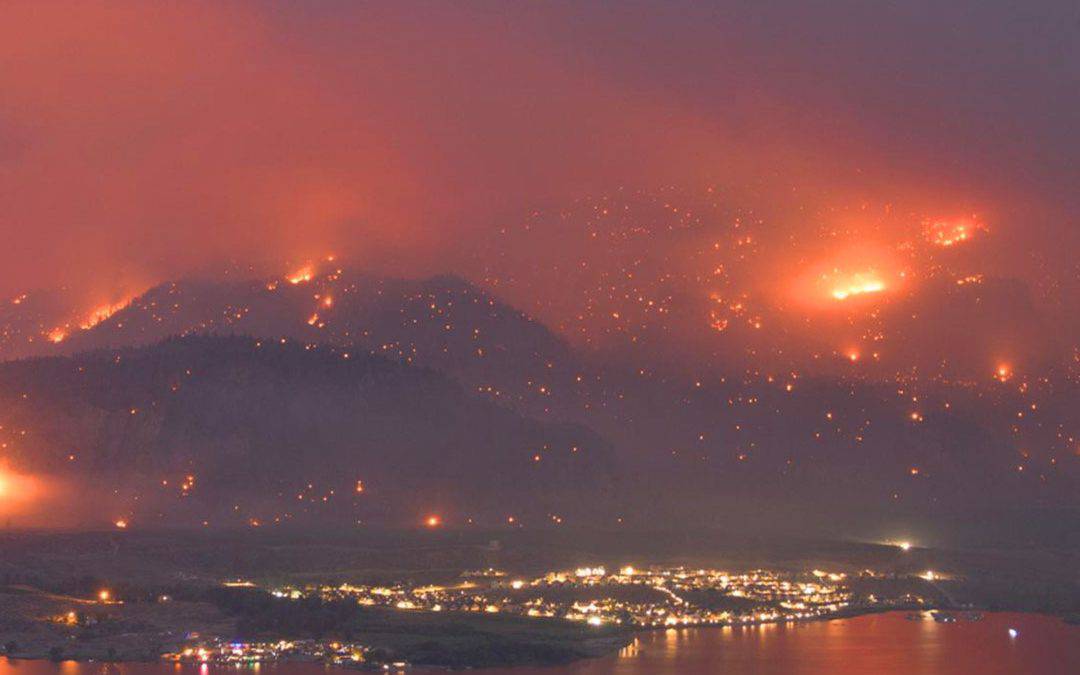 Vegetationsbränden nehmen auch in den Überlappungszonen von Wäldern und Siedlungen immer weiter zu…